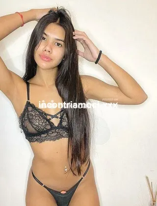 6 - Trans Trans Bari - 3932309086