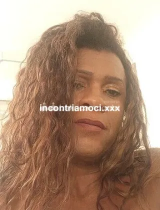 26 - Leona Trans Arezzo - 3445854894