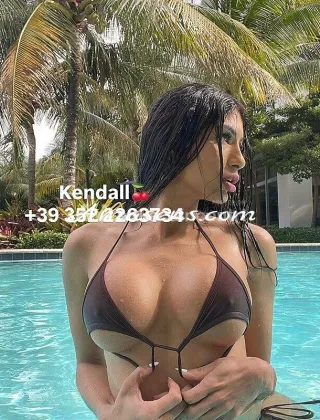 6 - Kendall Trans Padova - 3522263734