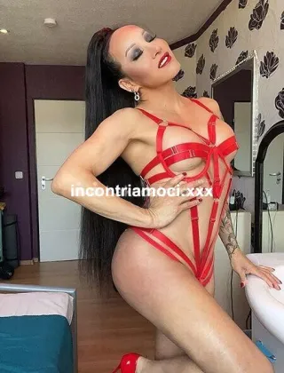 30 - Tabatha Trans Como - 3202204645