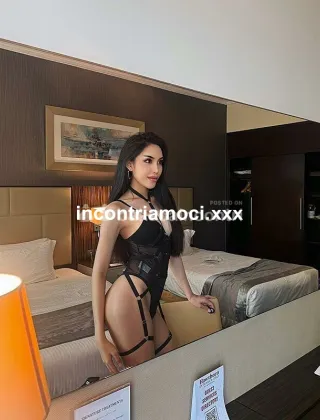 17 - Brune Trans Venezia - 3338577700