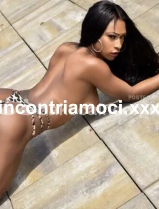 14 - Soraya Trans Teramo - 3336149580