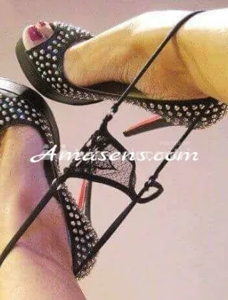 11 - Mery Trans Monza e della Brianza - 3881535828