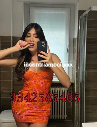 18 - Safina Trans Vicenza - 3342585465