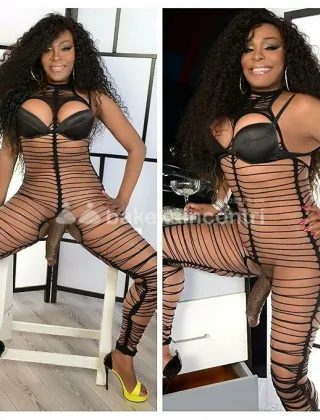 31 - Tina Trans Lucca - 3711801662