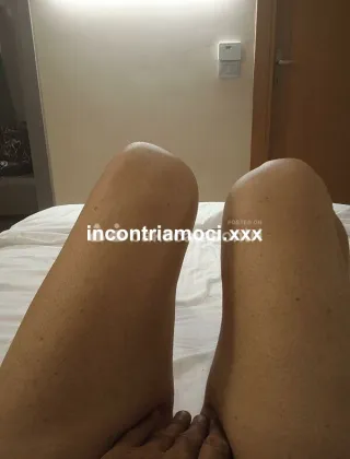 14 - Anita Trans Latina - 3518934121