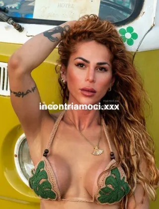 6 - Bruna Trans Milano - 3886426552