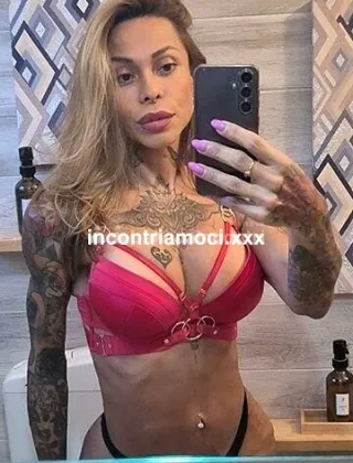 12 - La Toledo Trans Bologna - 3338568852