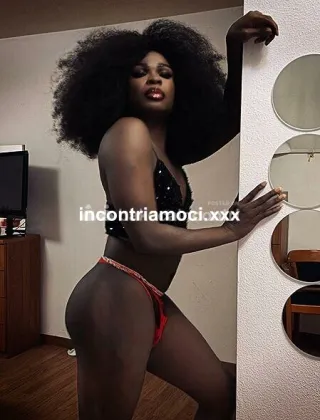 19 - Sandra Trans Torino - 3512498856