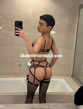 8 - Massiel Trans Genova - 3508794755