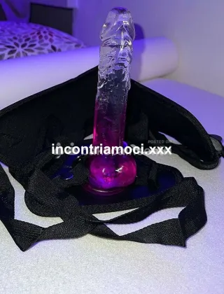 15 - Pene Escort Alessandria - 3508191593