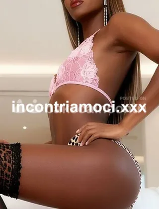 12 - Cinzia Trans Perugia - 3895396000