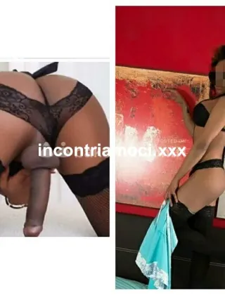 4 - Trans Trans Arezzo - 3510909773