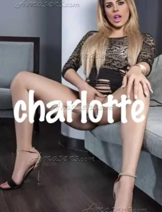 14 - Charlotte Trans Venezia - 3511486390