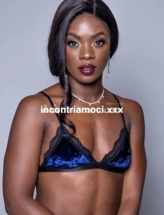 29 - Anaconda Trans Napoli - 3441804415