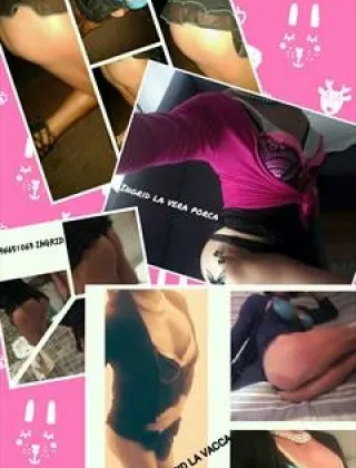 21 - Ingrid Trans Firenze - 3394651063