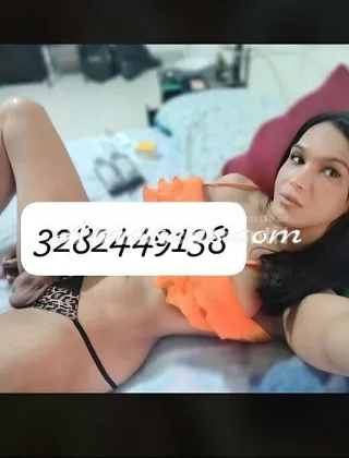 4 - Catalina Trans Modena - 3282449138