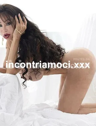 30 - Luciana Trans Bergamo - 3397674731