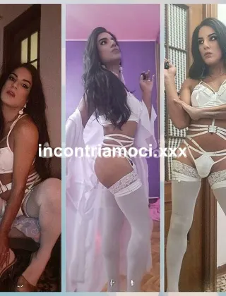 27 - Stella Trans Alessandria - 3510468023