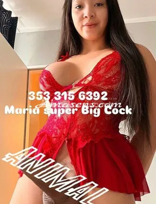 2 - Maria Trans Padova - 3533156392
