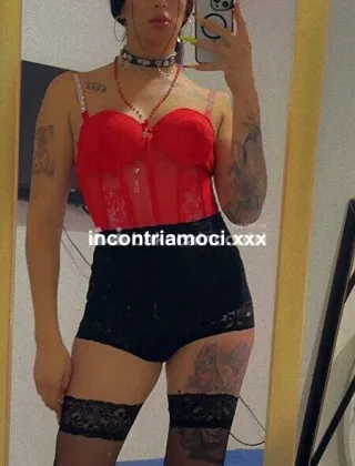 5 - Vannika's Trans Roma - 3511654918
