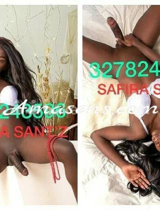 27 - Safira Trans Teramo - 3278243596