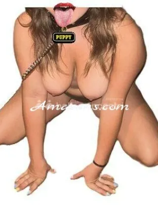 11 - Gang Bang Amatoriale Coppie Roma - 3533092056