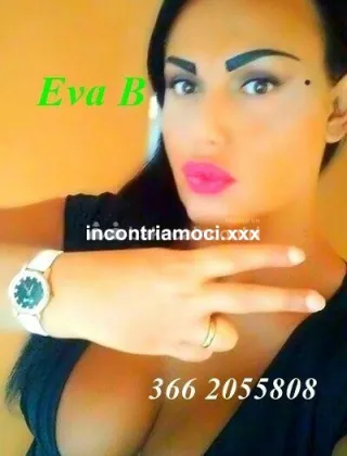20 - Eva Trans Catanzaro - 3662055808