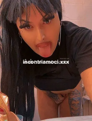 7 - Gabri Trans Campobasso - 3533276615