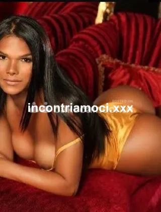 29 - Emilia Trans Reggio Emilia - 3806540324