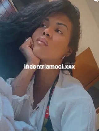 10 - Vania Trans Cuba Xxl Trans Cremona - 3401348255