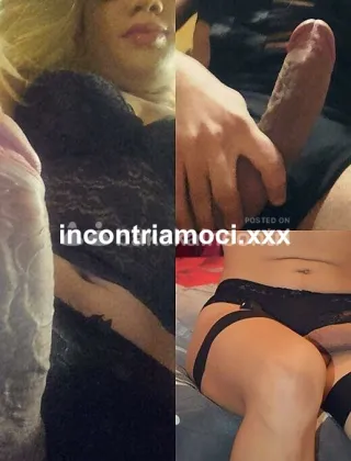 25 - Luna Trans Lucca - 3881078319