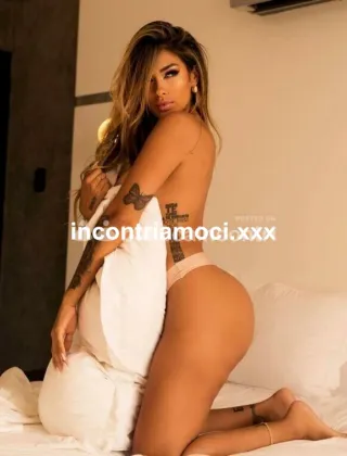 12 - Nicol Trans Udine - 3508011537