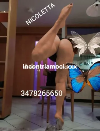 14 - New New Escort Matera - 3478265650