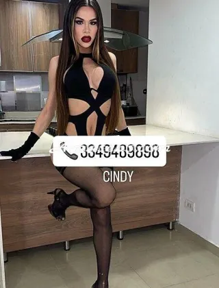 9 - Cindy Trans Frosinone - 3349489898