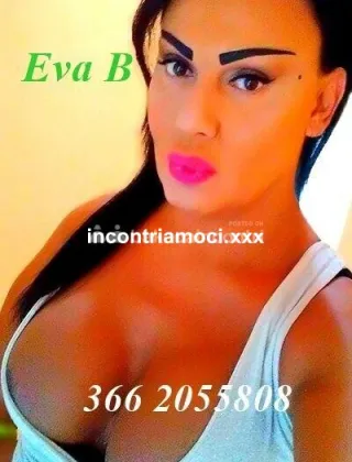 21 - Eva Trans Catanzaro - 3662055808
