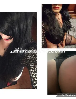26 - Nikita Trans Ferrara - 3516468256