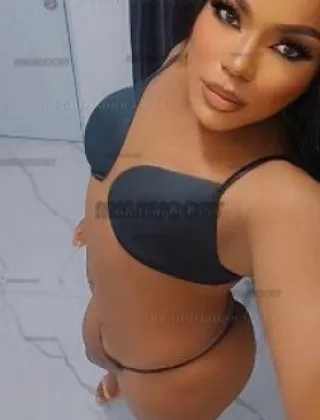 33 - Pafovatransxl Trans Padova - 3446938795