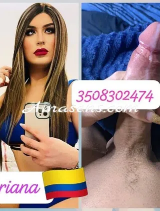 29 - Ariana Trans Gorizia - 3508302474