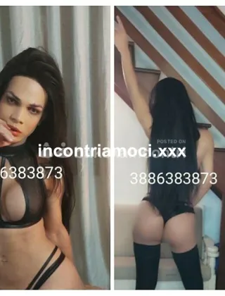 28 - Agatha Trans Verona - 3886383873