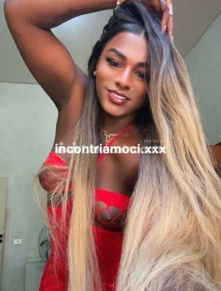10 - Cavallona Leiteira Trans Lucca - 3932509445