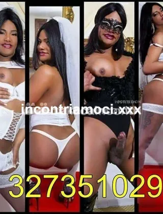 34 - Marina Trans Ancona - 3273510292