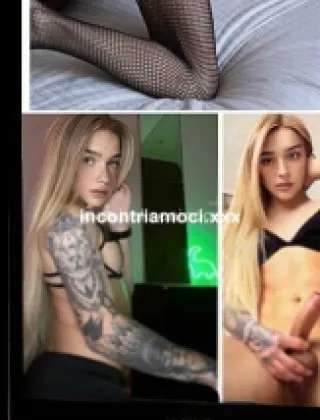 27 - Chrystal Trans Forlì-Cesena - 3520659407