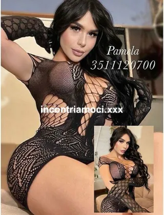 12 - Pamy Pornostar Trans Pesaro e Urbino - 3511120700