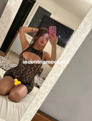 33 - Priscilla Trans Bologna - 3890481328