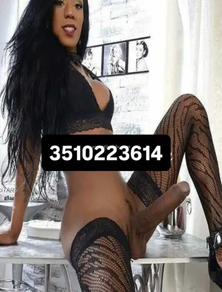 30 - Paloma Trans Brescia - 3510223614