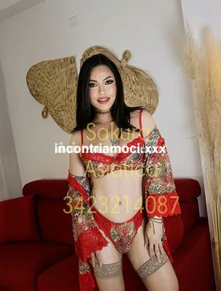7 - Sakura Trans Roma - 3423214087