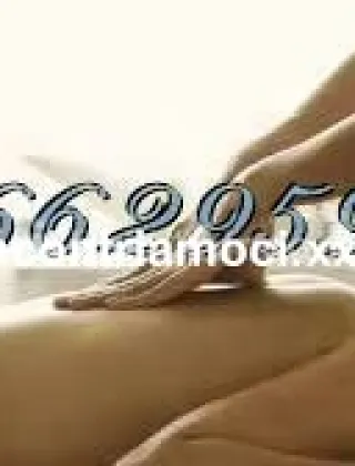 3 - Lisa Escort Arezzo - 3662959119
