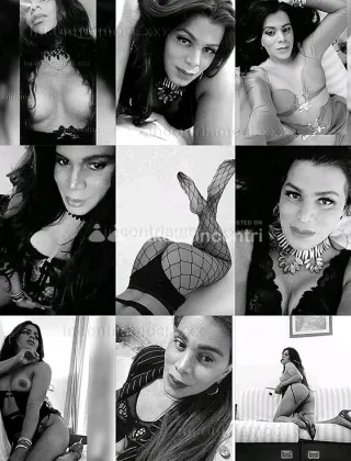 1 - Anita Trans Pisa - 3711370391