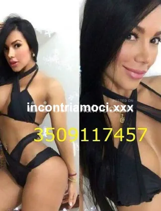 13 - Chanelly Trans Trans Como - 3509117457